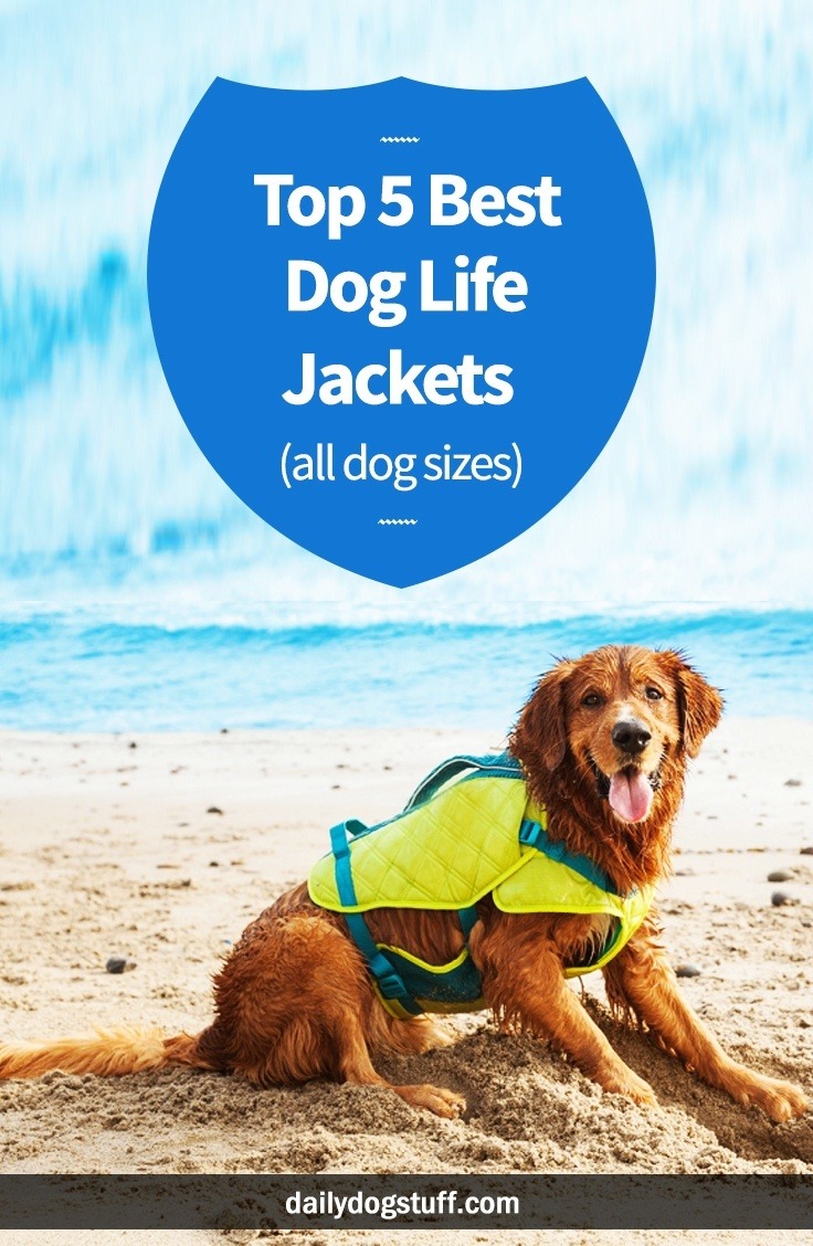 Top 5 Best Dog Life Jackets (all dog sizes) | Daily Dog Stuff