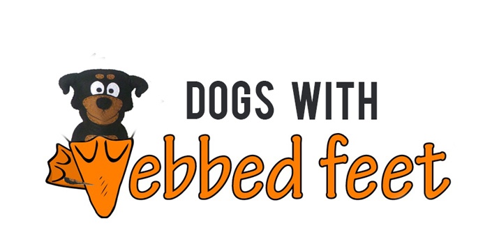 dog breeds with webbed feet