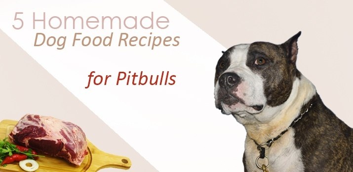 best dog food for older pitbulls