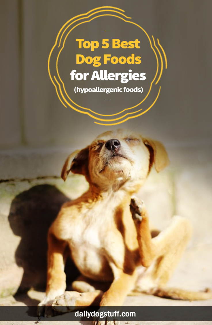 Top 5 Best Dog Foods for Allergies (hypoallergenic foods) | Daily Dog Stuff