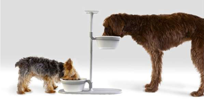 stand up dog dishes