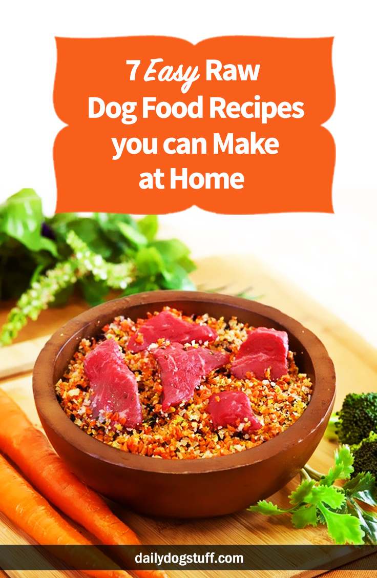 7 Easy Raw Dog Food Recipes you can Make at Home | Daily Dog Stuff