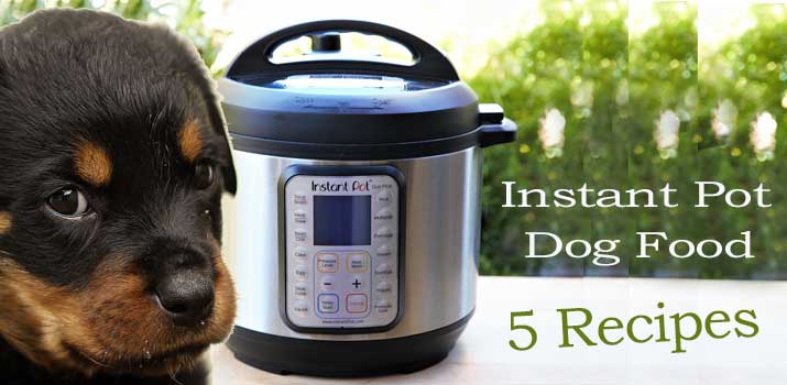 instant-pot-dog-food-recipes.jpg